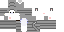 Minecraft skin texture, 64x32 legacy pixels