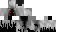 Minecraft skin texture, 64x32 legacy pixels