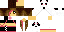 Minecraft skin texture, 64x32 legacy pixels