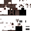 Brown Minecraft skin texture, 64x64 pixels