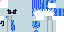 Minecraft skin texture, 64x32 legacy pixels