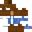 Minecraft skin texture, 64x64 pixels
