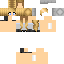Minecraft skin texture, 64x64 pixels
