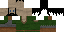 Minecraft skin texture, 64x32 legacy pixels
