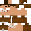 Minecraft skin texture, 64x64 pixels