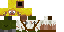Minecraft skin texture, 64x32 legacy pixels
