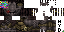 Minecraft skin texture, 64x32 legacy pixels