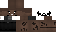 Minecraft skin texture, 64x32 legacy pixels