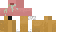 Minecraft skin texture, 64x32 legacy pixels