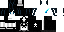 Minecraft skin texture, 64x32 legacy pixels