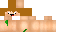 Minecraft skin texture, 64x32 legacy pixels