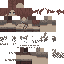 Minecraft skin texture, 64x64 pixels