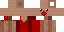 Minecraft skin texture, 64x32 legacy pixels