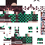 Minecraft skin texture, 64x64 pixels