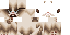 Minecraft skin texture, 64x32 legacy pixels