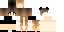 Minecraft skin texture, 64x32 legacy pixels
