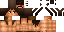 Minecraft skin texture, 64x32 legacy pixels