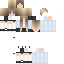 Minecraft skin texture, 64x64 pixels