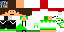Minecraft skin texture, 64x32 legacy pixels