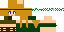 Minecraft skin texture, 64x32 legacy pixels
