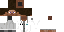 Minecraft skin texture, 64x32 legacy pixels
