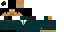 Minecraft skin texture, 64x32 legacy pixels