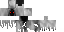 Minecraft skin texture, 64x32 legacy pixels