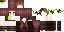 Minecraft skin texture, 64x32 legacy pixels