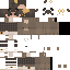 Brown Minecraft skin texture, 64x64 pixels