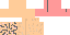 Minecraft skin texture, 64x32 legacy pixels