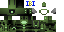 Minecraft skin texture, 64x32 legacy pixels
