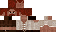 Minecraft skin texture, 64x32 legacy pixels