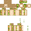 Minecraft skin texture, 64x64 pixels