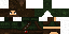 Minecraft skin texture, 64x32 legacy pixels