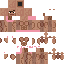 Minecraft skin texture, 64x64 pixels
