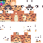Minecraft skin texture, 64x64 pixels