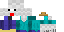 Minecraft skin texture, 64x32 legacy pixels