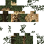 Minecraft skin texture, 64x64 pixels