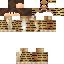 Minecraft skin texture, 64x64 pixels