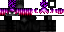 Minecraft skin texture, 64x32 legacy pixels