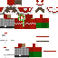 Minecraft skin texture, 64x64 pixels