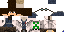 Minecraft skin texture, 64x32 legacy pixels