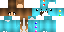 Minecraft skin texture, 64x32 legacy pixels