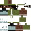 Minecraft skin texture, 64x64 pixels
