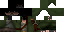 Minecraft skin texture, 64x32 legacy pixels