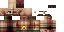 Minecraft skin texture, 64x32 legacy pixels