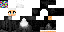 Minecraft skin texture, 64x32 legacy pixels