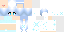 Minecraft skin texture, 64x32 legacy pixels