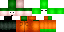 Minecraft skin texture, 64x32 legacy pixels