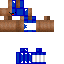 Minecraft skin texture, 64x64 pixels